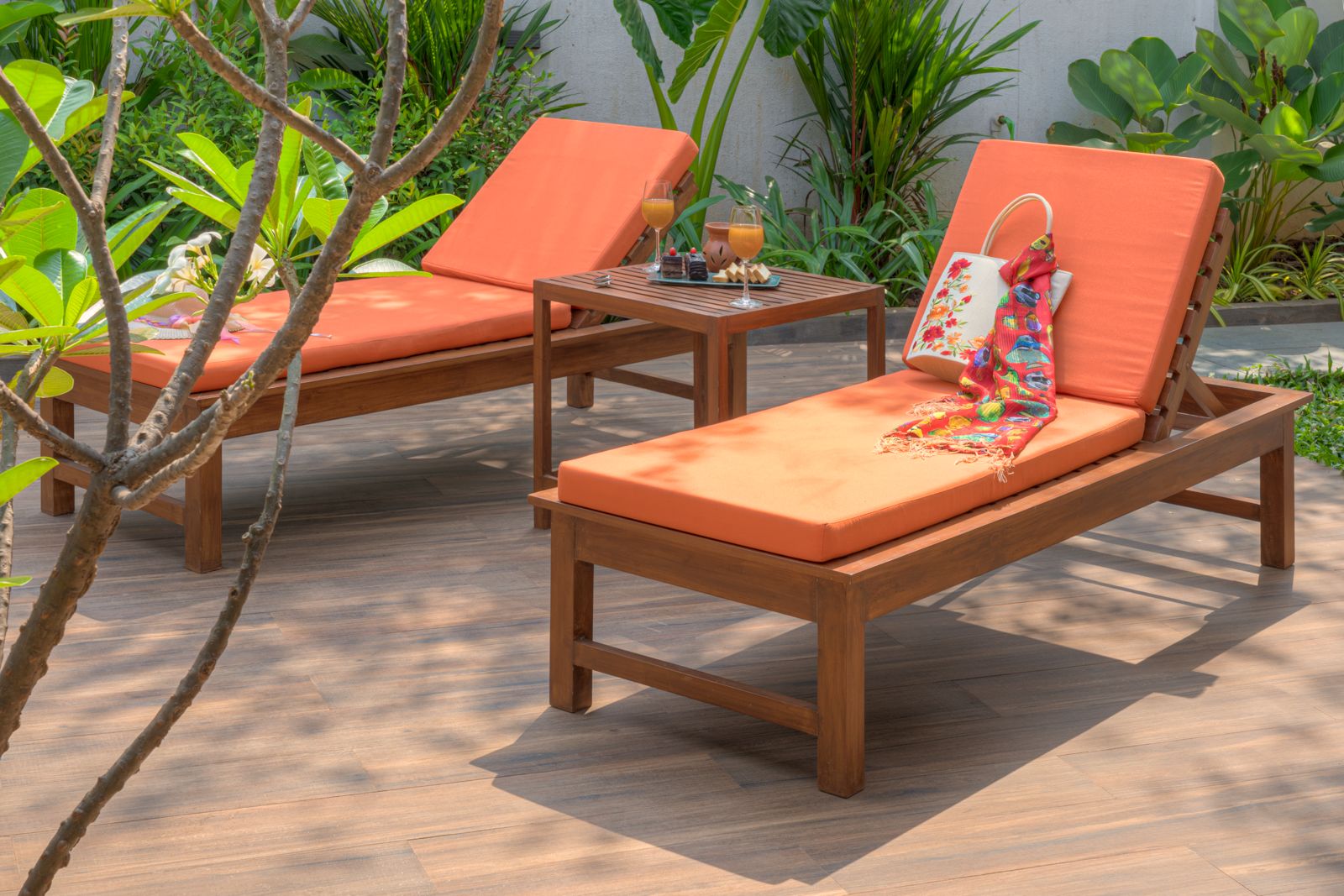 Terra Viva - Photo 2