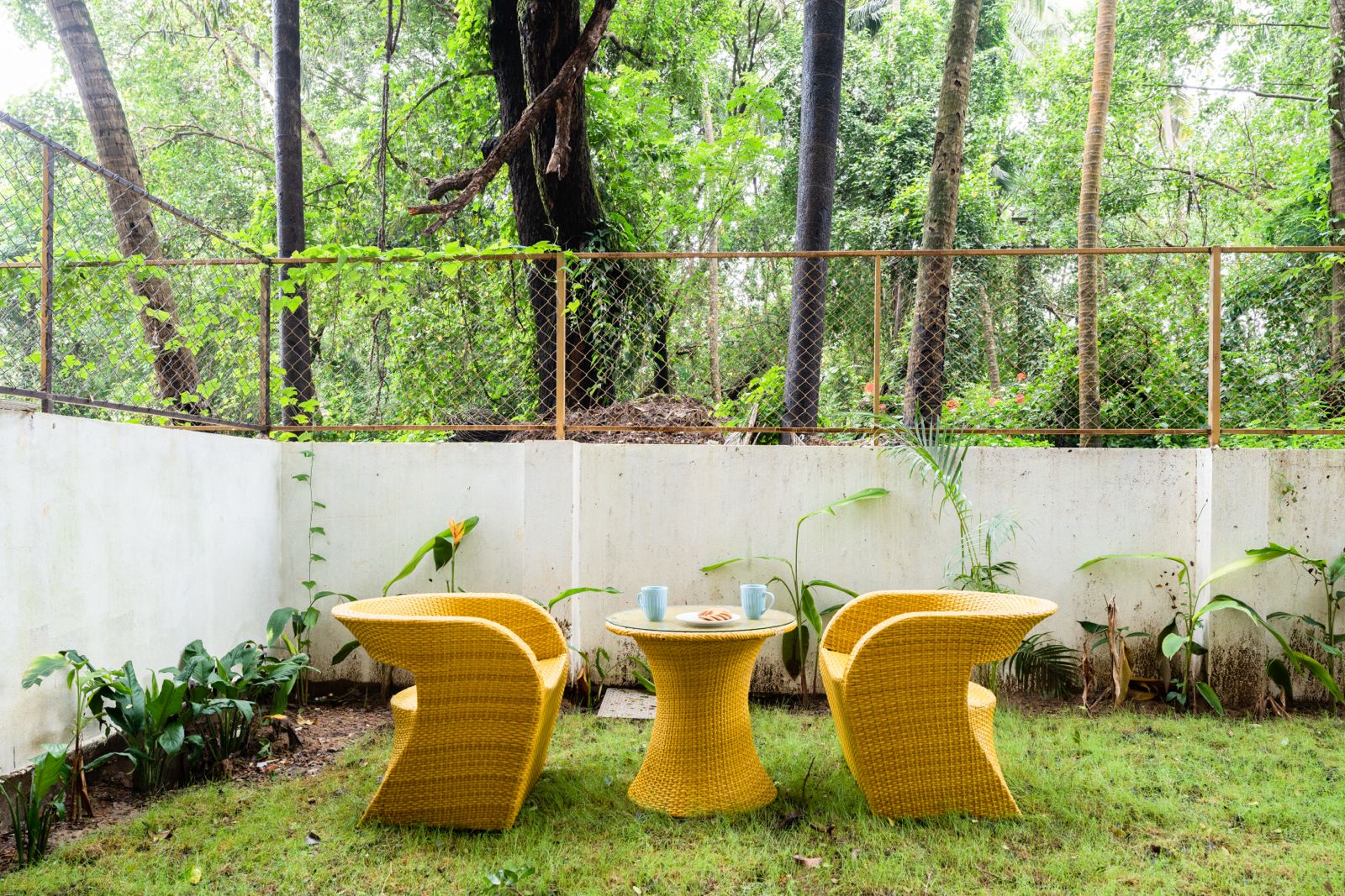 Gorgeous 1BHK Apartment - Photo 11