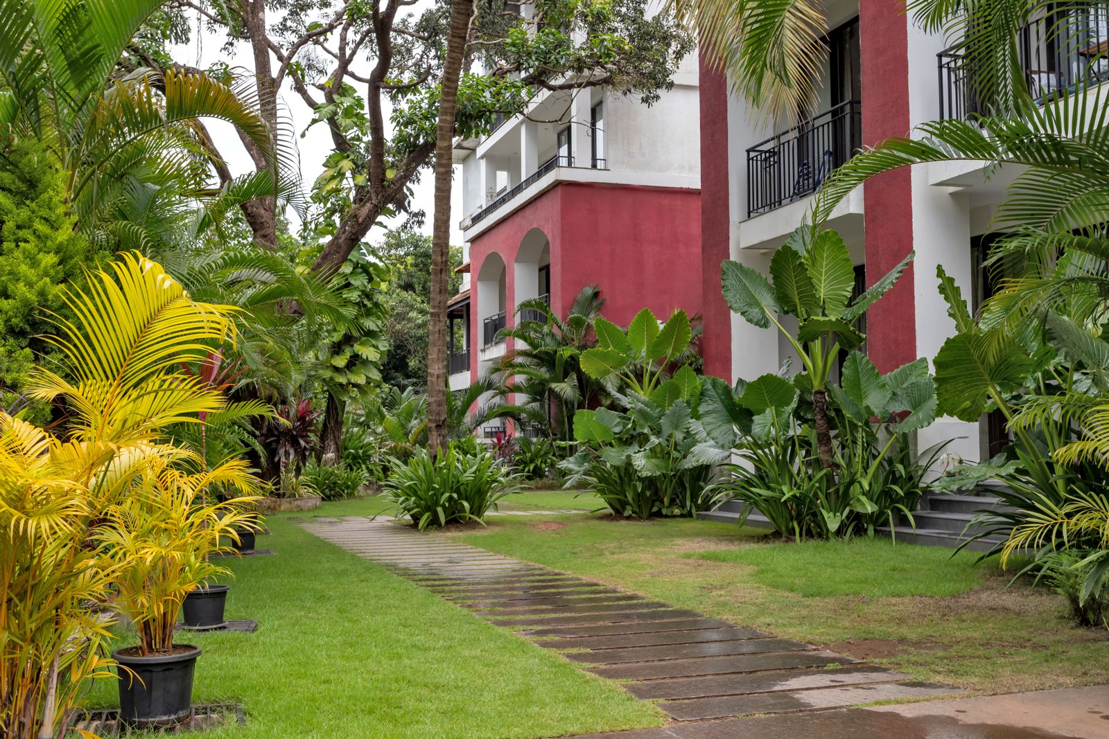 Radiant 1BHK Apartment - Photo 3